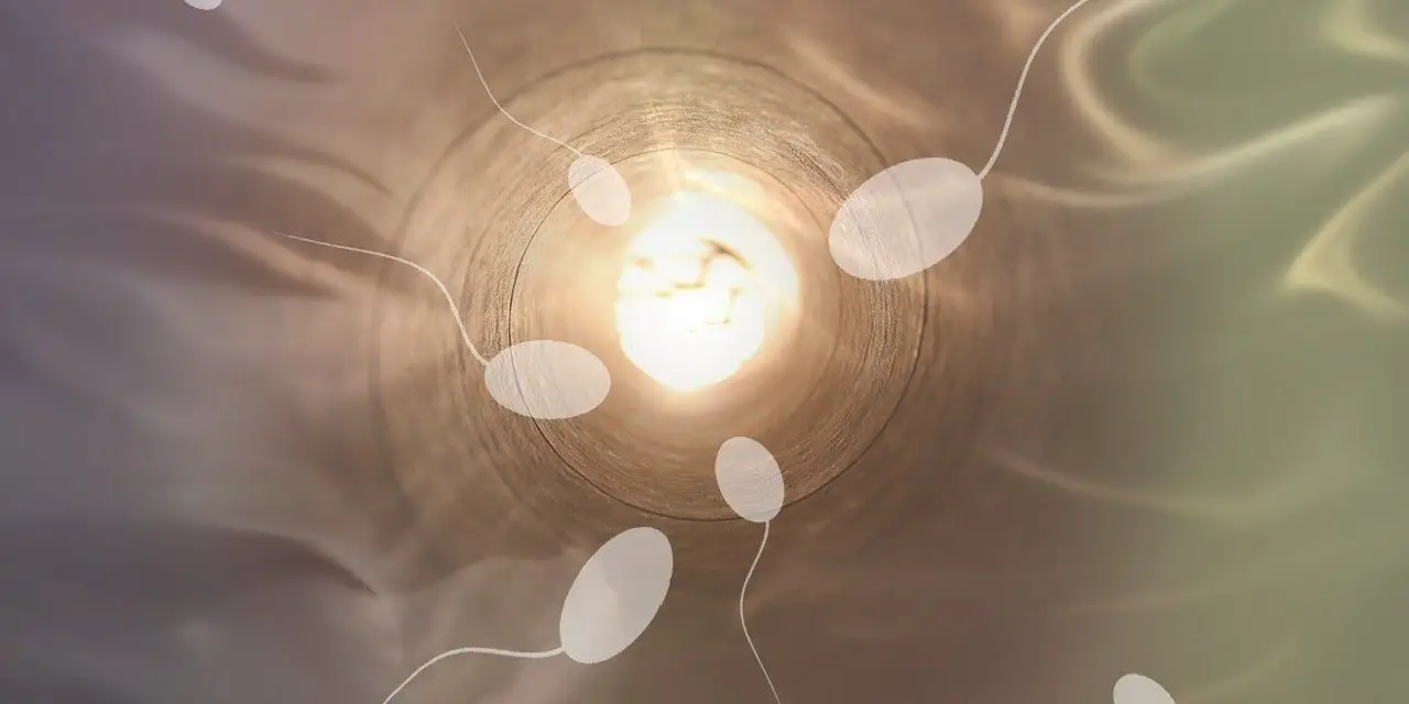 Quelles sont les plantes qui améliorent la qualité du sperme ?